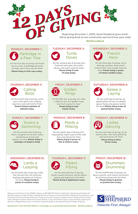 12 Days of Giving 2025 Flyer